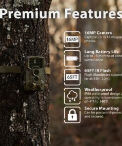REXING Woodlens H1 HD 16MP Trail Camera Day & Night Ultra Fast Motion Detection, 0.2s Trigger Speed, LED Flash Photo, Video Hunting Game Personal Surveillance Cam (Rexing H1) Rexing H1 8 915SOFUEEwL 1