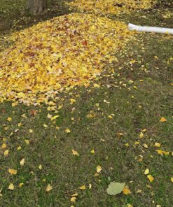 Greenworks 7 Amp 160 MPH/150 CFM Single Speed Electric Blower, 24012 43 915VOdNSdbL