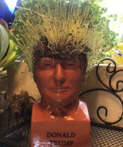 Chia Pet Donald Trump President with Seed Pack, (8" x 4.5" x 7.3") Decorative Pottery Planter, Easy to Do and Fun to Grow, Novelty Gift, Perfect for Any Occasion 30 915bZdKyjML
