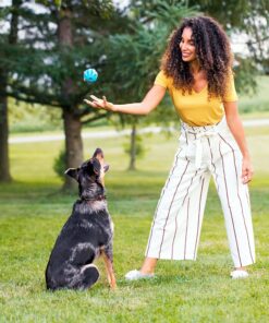 Rachael Ray Nutrish Dish Premium Natural Dry Dog Food, Chicken & Brown Rice Recipe with Veggies & Fruit, 3.75 Pounds 3.75 Pound (Pack of 1) 25 915dFHkIAUL 2