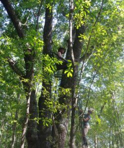 Alternative view of Millennium Treestands L110 Ladder, 21 ft., Black (L-110-SL)