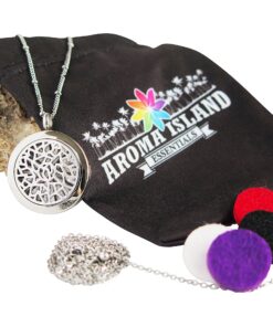 Coral Bliss Essential Oil Diffuser Necklace with Leakproof Locket - Hypoallergenic 316L Surgical Grade Stainless Steel 25mm Aromatherapy Jewelry (2 Chain Designs, 5 Reusable Pads, Microfiber Pouch) Traditional 12 916AvnGjTkL