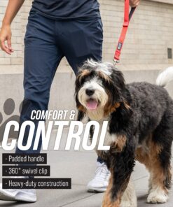 Leashboss Short Dog Leash for Dog Training | Padded Traffic Handle Short Leash for Dog Training, Total Comfort When Dog Walking | Traffic Leash for Dogs Large, Medium, Small | Short Nylon Dog Lead 12 Inch Black/Red/Grey 27 916CevKNLlL 1