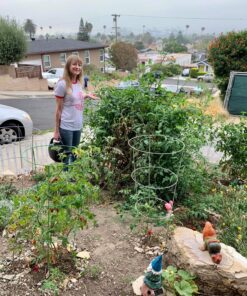 Bonide Captain Jack's Neem Oil, 16 oz. Concentrate, Multi-Purpose Fungicide, Insecticide and Miticide for Organic Gardening 33 916FT1bjCyL