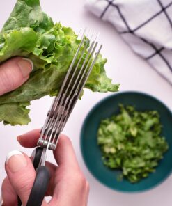 Jenaluca Herb Scissors with 5 Blades and Safety Cover - Cut, Chop & Mince Fresh Herbs & Leafy Greens - Stainless Steel Kitchen Shears with Cleaning Comb - Cool Kitchen Gadgets (Green) Green 26 916GuwZcW7L