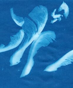 TEDCO 8" X 10" Sun Art Paper Kit - 12 Sheets 24 916HMTVNoEL