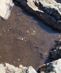 LifeStraw Personal Water Filter for Hiking, Camping, Travel, and Emergency Preparedness Blue 1 Pack 38 916NWQEG9XL