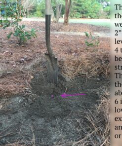 Bounty Hunter TK4 Tracker IV Metal Detector with 8-inch Waterproof Coil 30 916VLTDr vL