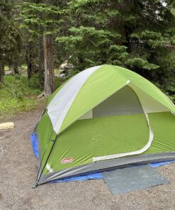 Coleman Sundome Camping Tent, 2/3/4/6 Person Dome Tent with Snag-Free Poles for Easy Setup in Under 10 Mins, Included Rainfly Blocks Wind & Rain, Tent for Camping, Festivals, Backyard, Sleepovers Palm Green 4 Person 34 916aAQ2udoL