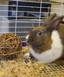 Ware Manufacturing Willow Branch Ball for Small Animals - 4-inch 1-Pack 15 916pza5Ob3L