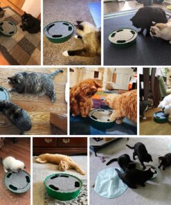 Pawaboo Interactive Cat Toy with Running Mouse, Electronic Motion Cat Toy Automatic Teaser for Indoor Cats, Pop and Play Hide Seek Cat Toy Hunting Mouse for Pet Cat Kitten Play Fun Exercise, Green 14 9172GPSNQqL