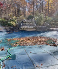 Trupow 1/10HP 330GPH 115-Volt Mini Portable Electric Utility Sump Transfer Water Pump with Water Hose Kit 115V AC 25 917IpB4x1aL