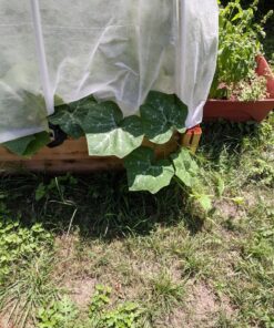 Plant Covers Freeze Protection 0.9oz 8Ft x 24Ft Rectangle Plant Cover for Cold Protection,Season Extension 36 917N3 qbSwL