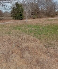 Arcturus Ghost Ghillie Suit & Ponchos for Men | Dense, Double-Stitched Design | Superior Camo Hunting Clothes for Men, Hunters, Military, Sniper Airsoft and Paintball Extra Large Dry Grass 18 917Qo018nRL 1