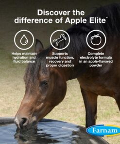 Farnam Apple Elite Horse Electrolyte Powder, Replaces minerals lost in sweat during exercise, extreme weather & stressful conditions, 5 lb., 40 day supply 5 pounds 14 917cLCcg0L