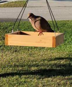 Wild Wings WWCF23 Cedar Tray Bird Feeder 44 917s4tGFocL 1