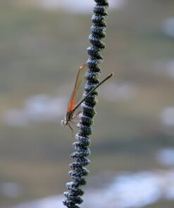 Made in The USA Kayak Paddle Leash/Gear Leash with Cord Stop (OD Green) OD Green 56 Std 18 917y9QYx54L
