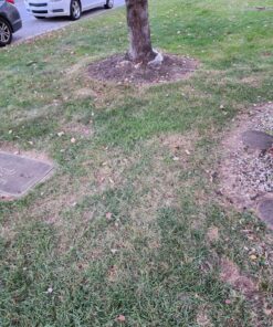 BLACK+DECKER 3-in-1 Leaf Blower, Leaf Vacuum and Mulcher, Up to 230 MPH, 12 Amp, Corded Electric (BV3600) 37 918Nb3mcFlL