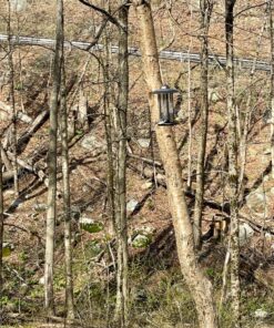 Cole's FS16 Flaming Squirrel Seed Sauce, 16-Ounce 1 32 918QGNiG5qL