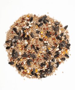 Wagner's 62004 Eastern Regional Wild Bird Food, 20-Pound Bag 17 918Xj8eckPL