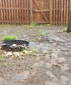 Scotts Turf Builder Lawn Food - Fertilizer for All Grass Types, 5,000 sq. ft., 12.5 lbs. 5,000 sq. ft. 57 918gfvRQMrL