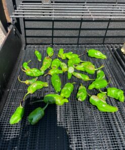 Cestari BBQ Grill Mats Non Stick Grill Toppers- Extra Large Cut to Fit - Pizza Oven Screen - Heavy Duty PFOA Free Grill Mesh Set of 2 23 918pxjuE01L