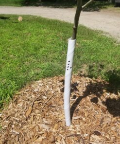 Alternative view of Walter E Clark Vinyl Tree Guard 00424, White, 24" 1