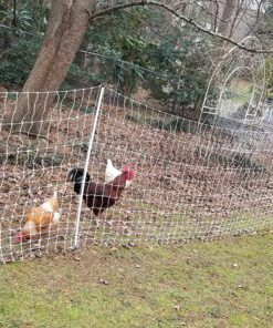 Premier 48" PoultryNet® Electric Fence 12/48/3, 164', Double Spike, White 17 918uvnHAzaL