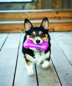 Alternative view of KONG Squeezz Crackle Ball, Medium, Colors may vary 1