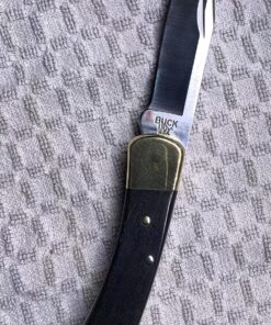 Buck Knives 110 Folding Hunter Lock-back Knife, Brass Bolsters, Ebony Handles, 3-3/4" 420HC Blade with Leather Sheath Classic 3.75" 39 919AuolbQL
