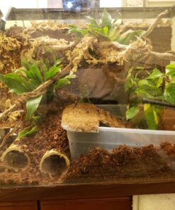 Great Stuff 283064 12OZ GS Pond&Stone Foam Sealant, Each, Black Pond & Stone 43 919Dkm82ZUL