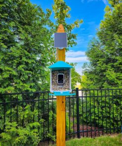 NETVUE Birdfy AI - Smart Bird Feeder with Camera + Solar Panel, Free AI Forever, Auto Capture & Identify 6000+ Bird Species, Bird Videos for Birdwatching, Ideal Gift for Bird Lover Solar Blue 48 919ErHhDDIL