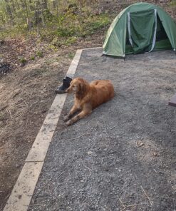 Clostnature Lightweight Backpacking Tent - 3 Season Ultralight Waterproof Camping Tent, Large Size Easy Setup Tent for Family, Outdoor, Hiking and Mountaineering Green 2 Person 40 919LheTYpL