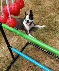 GoSports Ladder Toss Indoor & Outdoor Game Set with 6 Soft Rubber Bolo Balls and Travel Carrying Case - Choose Pro or Classic Classic Ladder Toss 30 919RFK8KRdL 1