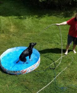 Intex Snorkel Buddies Snapset Pool - 5'X10" (Style May Vary) 24 919b9bJhPOL