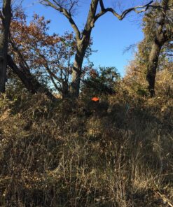 GhostBlind 4-Panel Predator Blind, Silver 52 919cQuh6f3L