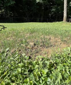 Scotts EZ Seed Patch and Repair Sun and Shade for Grass: Covers up to 225 sq. ft., 10 lb. 10 lb. 1 Pack 52 919g2pat91L