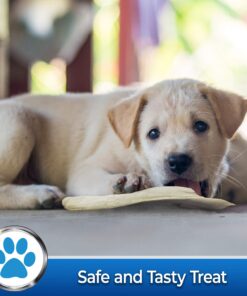 PET MAGASIN Rawhide Alternative Natural Jumbo Cow Ears 12-Pack Dog Treats Super Chew Long-Lasting, Made in Registered Facility 27 919oFNGZB5L