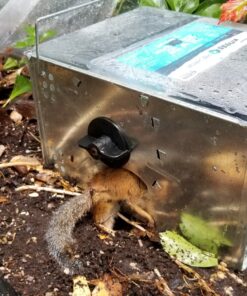 Ketch-All Mousetrap w/ Clear Lid 17 91A5OyV9NIL