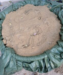 Bedwina Dinosaur Fossil Skeleton - (Pack of 24) 3.7 Inch Assorted Plastic Dino Figure Bones for Kids Science Dig Kit, Digging Sandbox Bins Play Toys, Party Favors, Birthday Decorations 34 91A9RSBsmCL