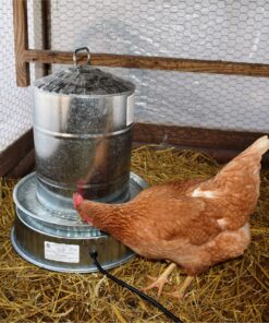 Farm Innovators Model HP-125 Heated Base For Metal Poultry Founts, 125-Watt, Metallic 13 91AFjALrdsL
