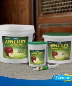 Farnam Apple Elite Horse Electrolyte Powder, Replaces minerals lost in sweat during exercise, extreme weather & stressful conditions, 5 lb., 40 day supply 5 pounds 18 91AHeYLHAL