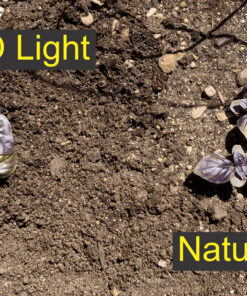 KingLED Newest 3000w LED Grow Lights with LM301B LEDs 4 * 2ft Coverage Full Spectrum Grow Lights for Indoor Hydroponic Plants Veg Bloom Greenhouse Growing Lamps 42 91AJgKDVuCL