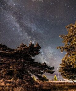 Nikon D500 DX-Format Digital SLR (Body Only), Base 70 91AX816RaL