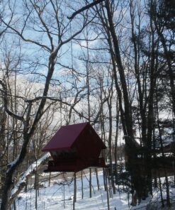 Heritage Farms Mini Absolute II Bird Feeder 11 91AZc0Xp3pL