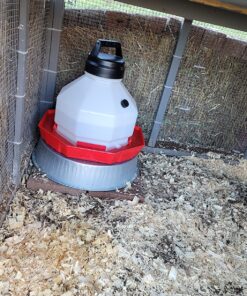 Manna Pro Chicken Supplies | Chicken Waterer Heated Base | Harris Farms Poultry Drinker | Chicken Coop Accessories Drinker Base 21 91AlElVmrTL 1