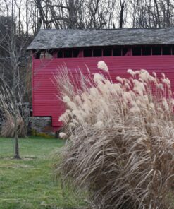 Nikon AF-P NIKKOR 70-300mm f/4.5-5.6E ED VR Fixed Zoom Digital Slr Camera Lens, Black 74 91An BlIckL