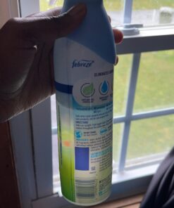 Febreze Air Freshener and Odor Eliminator Spray, Gain Original Scent, 8.8 Oz (Pack of 6) 8.8 Ounce (Pack of 6) 20 91B1HWMcVDL