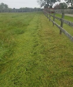 Greenworks Pro 80V Cordless Brushless String Trimmer + Leaf Blower Combo, 2Ah Battery and Charger Included STBA80L210 16" Trimmer + Blower (2.0Ah) 43 91B7gkZPlL