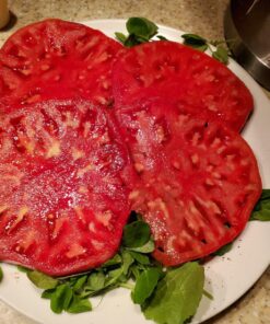 Burpee SteakHouse Hybrid Non-GMO Large Beefsteak Garden Produces Giant 3 LB Fresh Tomatoes | Vegetable Planting, 25 Seeds 47 91BBXmLcPQL